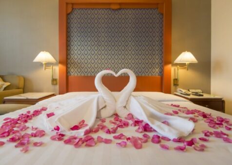 Home Category - Directorist